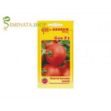 Средно ранозрял български сорт домати Гео F1 – за ранно и късно производство