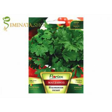 Семена на едролистен магданоз Италиански гигант – ранен сорт с наситен аромат и високи добиви