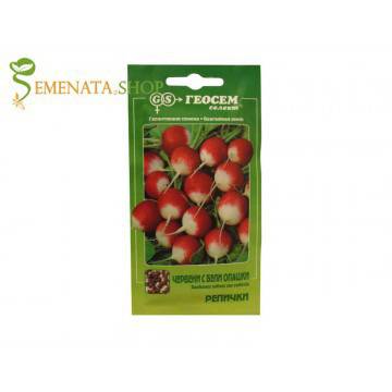 Семена на репички червени с опашки бели – страхотен вкус