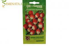 Семена на репички червени с опашки бели – страхотен вкус