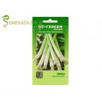 Семена на праз Старозагорски 72 – изтънченият Лук