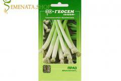 Семена на праз Старозагорски 72 – изтънченият Лук
