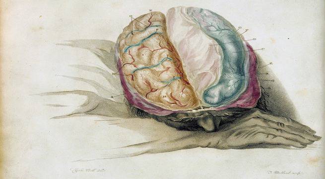 12 трика, чрез които вашият собствен мозък ви лъже