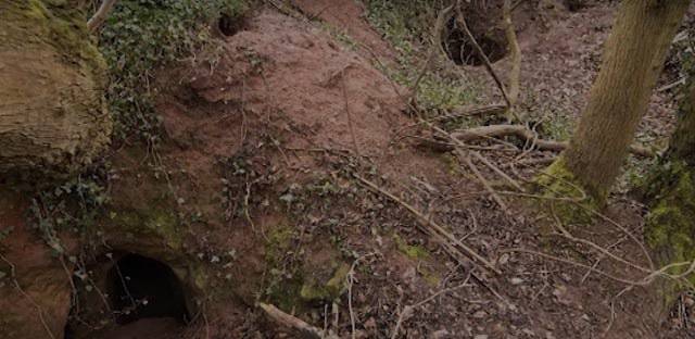 Той откри малка заешка дупка насред гората, но когато реши да влезе вътре остана без думи!