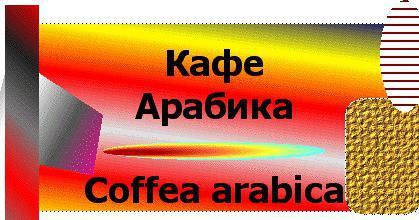Кафе Арабика (Arabika).
