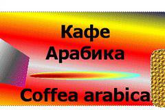 Кафе Арабика (Arabika).