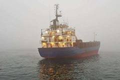 Кораб заседна край Швеция след като пияният му екипаж е заспал на мостика