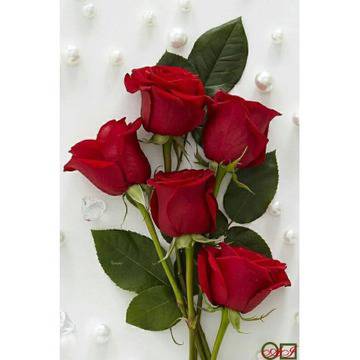 Диамантен гоблен РОЗИ, ПЕРЛИ И ДИАМАНТИ