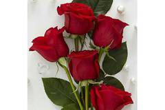 Диамантен гоблен РОЗИ, ПЕРЛИ И ДИАМАНТИ