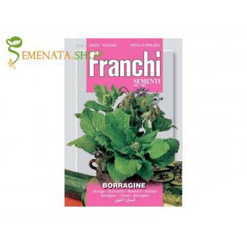 Семена на Бораго, Пореч (Borago Officinаlis) – „лечебната краставица“