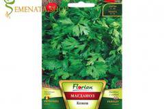 Семена на магданоз сорт Комон – свежият завършек на всяка салата