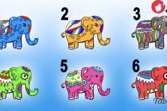 Късмет за деня: Избери си 1 слонче и виж какво ще ти донесе