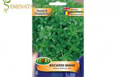 Семена на мини босилек за саксия и градина – плътен аромат и страхотен вкус