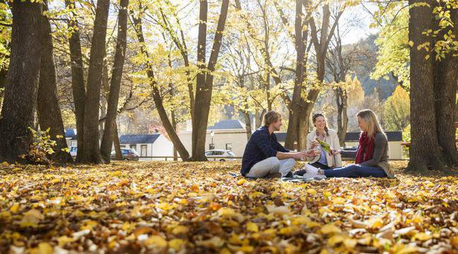 Как да спрем натрупването на излишни килограми през еснта