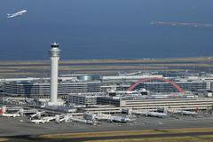 Куче прекъсна работата на летище Токио Ханеда