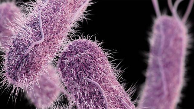 ВЪРНЕТЕ СИ КОМФОРТА ПРИ ЦИСТИТ И ВЪЗПАЛЕНИЯ НА ПИКОЧНО-ПОЛОВАТА СИСТЕМА