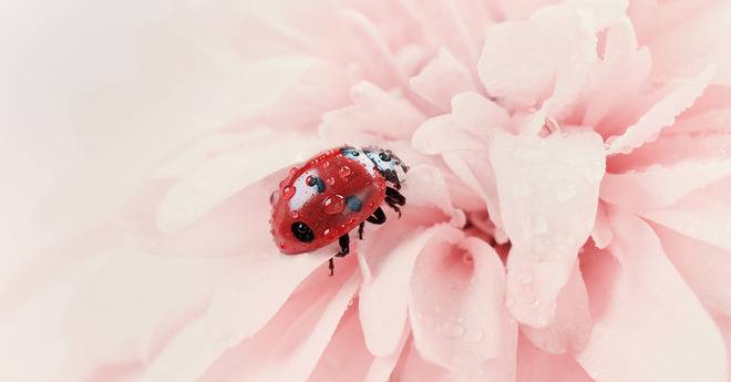 Как се процедира при гъбична инфекция?