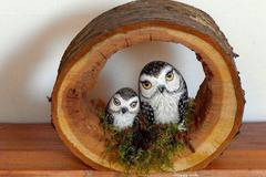 Как да си направим декорация с дърво и бухали