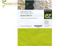 Семена за домати Бенатар F1 (Benatar F1) – ранозрели и за всеки сезон