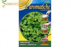 Семена на диск див керевиз (кервиз, азмацуг, целина) – силен ароматен и лесно отглеждане в саксия