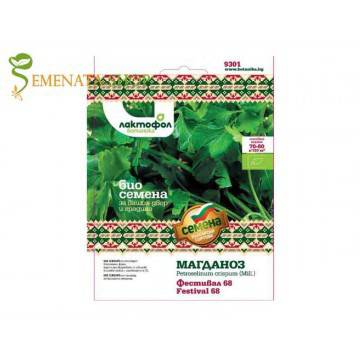 Био семена на магданоз сорт Фестивал – ароматен и лесен за отглеждане