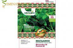 Био семена на магданоз сорт Фестивал – ароматен и лесен за отглеждане