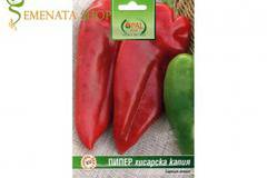 Оригинални семена на пипер Хисарска капия – сладък и едър с много високи добиви
