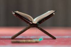 Какви са заплахите от проникване на радикален ислям в България?