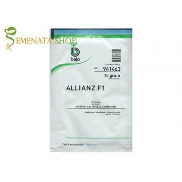 Семена на корнишони Алианц F1 (Allianz F1) – професионални от Бейо Заден