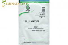 Семена на корнишони Алианц F1 (Allianz F1) – професионални от Бейо Заден