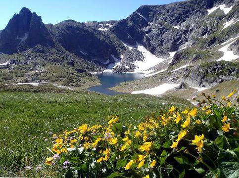 Добър или зъл