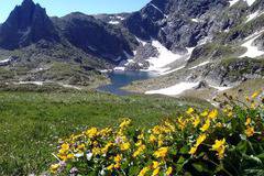 Добър или зъл