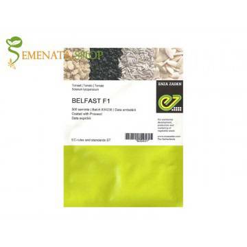 Семена за домати Белфаст F1 (Belfast F1) от Енза Заден Холандия