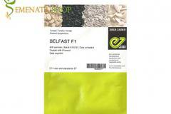 Семена за домати Белфаст F1 (Belfast F1) от Енза Заден Холандия