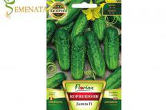 Сортови семена на корнишони Далила F1 – сорт с къса вегетация и изключително родовит