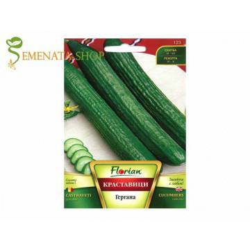 Сортови семена на краставици Гергана – лидерът сред българските дългоплодни сортове