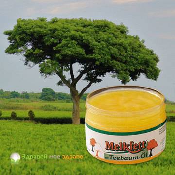 Чаено дърво масло ТОП ПРОДУКТ