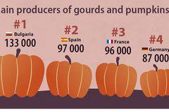 Страната ни е най-големият производител на тикви в ЕС