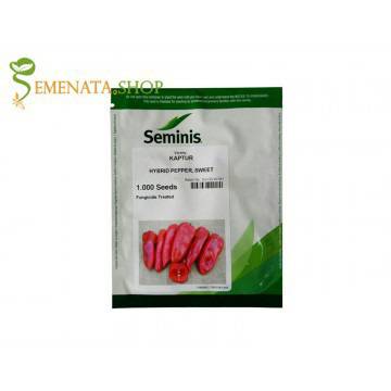 Професионални семена на пипер Каптур F1 (Kaptur F1) от Seminis