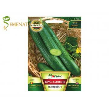Семена на дългоплодна краставица Телеграф F1 – дълга и много вкусна