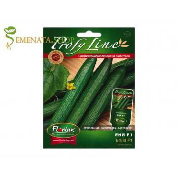 Семена на краставици за оранжерия и тунел Еня F1 – супер вкусен сорт за целогодишно отглеждане