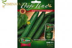 Семена на краставици за оранжерия и тунел Еня F1 – супер вкусен сорт за целогодишно отглеждане