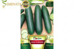 Качествени семена на краставици Тимор F1 (Герлинде F1) – късоплодна салатна краставица