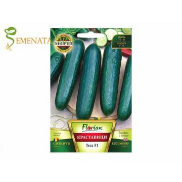 Семена на късоплодна краставица Теса F1 (Тесса F1) – сорт перфектен вкус и високи добиви