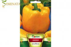 Семена на пипер тип Долма – интересният жълт пипер Асти Йелоу (Asti Yellow)