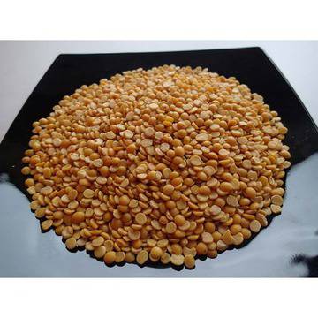 Тур дал 500 гр.