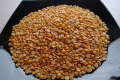 Тур дал 500 гр.