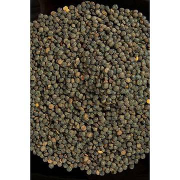 Френска леща 500 гр.