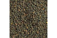 Френска леща 500 гр.