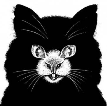 Какво видяхте първо на СНИМКАТА и научете нещо за себе си